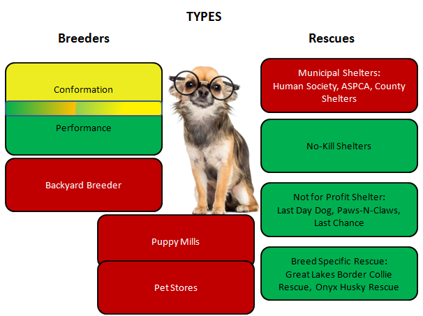 51 Best Photos Backyard Breeder Vs Reputable Breeder - The Allure Of Designer Dogs A Mixed Breed Illusion